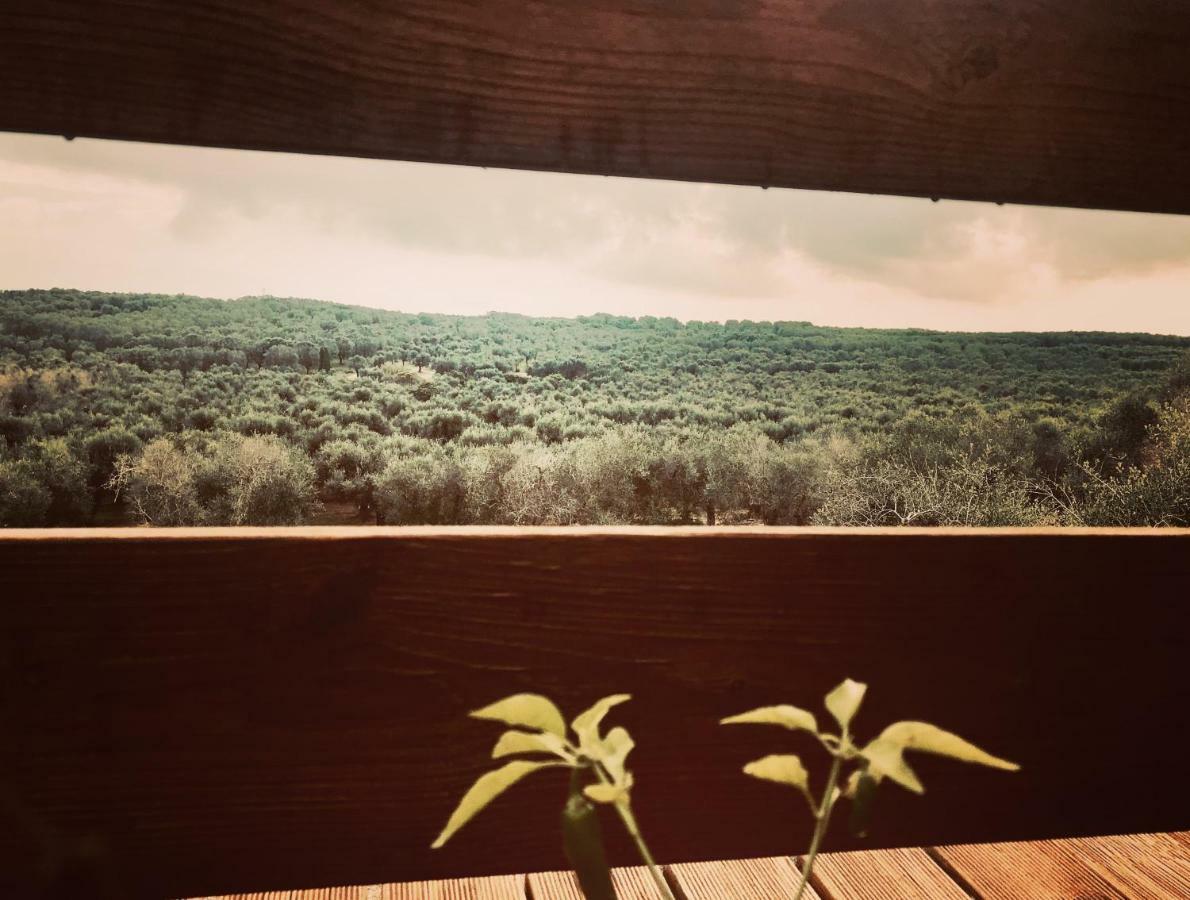 Le Palombelle Casa Vacanze โอตรันโต ภายนอก รูปภาพ